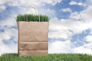 shopping spesa sostenibile sostenibilità green