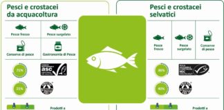 Infografica_Lidl Italia_Pesce sostenibile