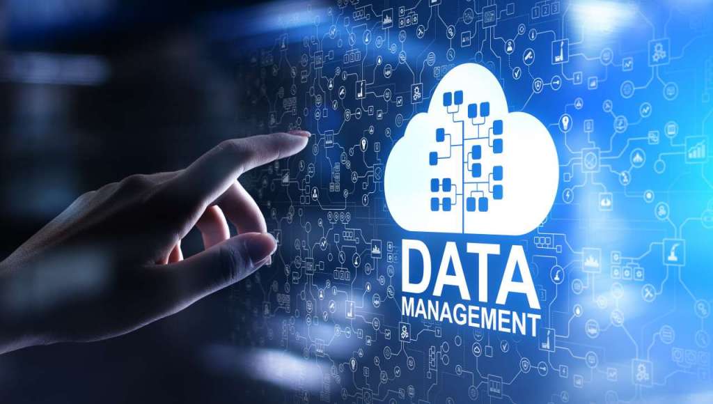 data management consigli
