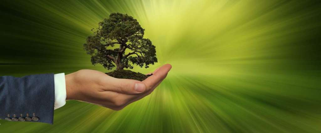 sostenibilità green verde crescita
